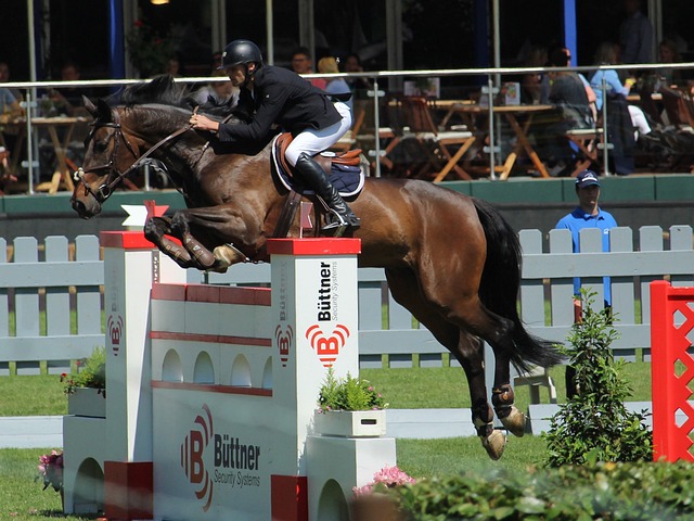 管理进行效 管理进行效