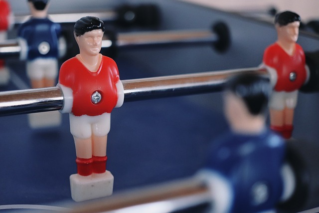 瑞士羽毛球 瑞士羽毛球