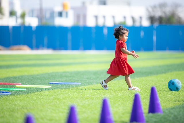 鹿的局面 鹿的局面