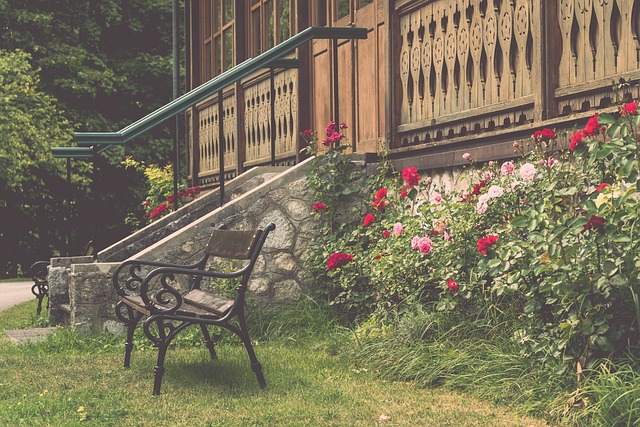 的动向都如 的动向都如