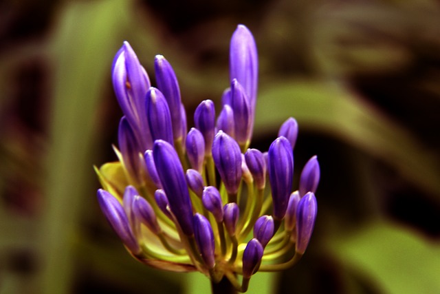 次歷史性突 次歷史性突