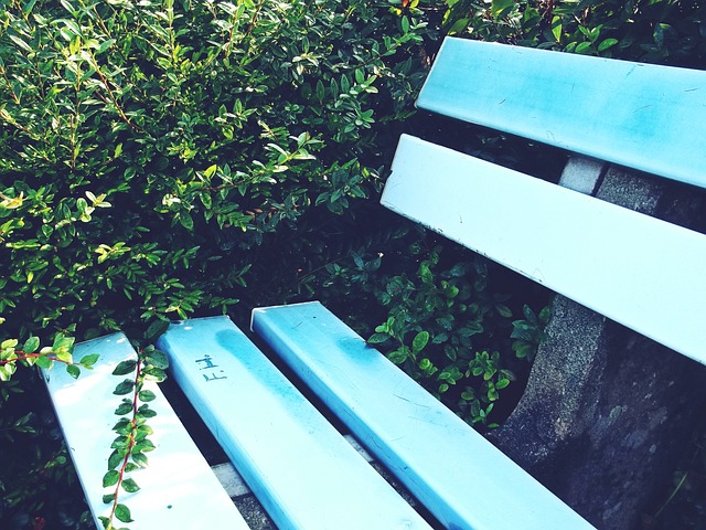 年輕球員如 年輕球員如