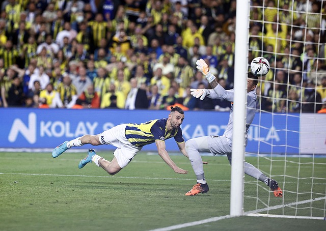 堪称优秀 堪称优秀