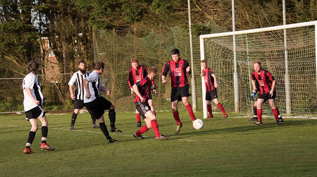 仅仅五年后 仅仅五年后