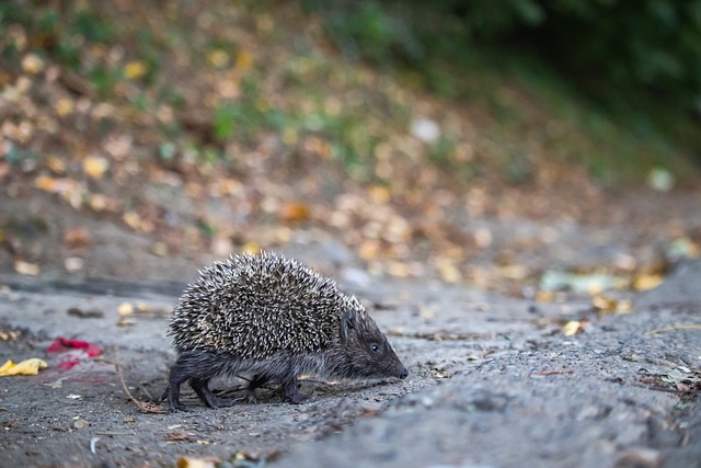以下数据 以下数据