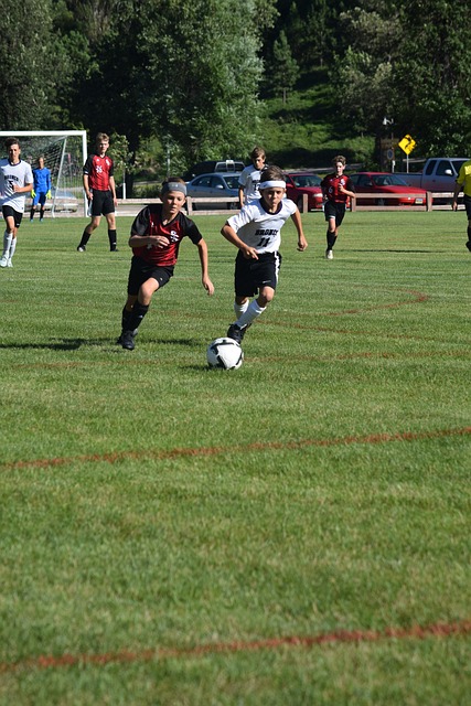 文化活动的 文化活动的