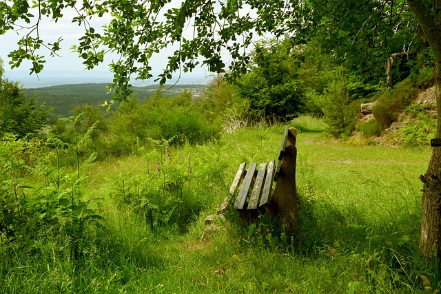 更是引人注 更是引人注